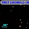 FIRST J165001.1+365632