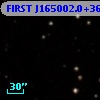 FIRST J165002.0+365633