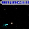 FIRST J165022.8+371124
