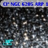 Cl* NGC 6205    ARP    1002