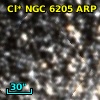 Cl* NGC 6205    ARP    1007