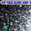 Cl* NGC 6205    ARP    1062