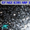 Cl* NGC 6205    ARP    1061