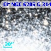 Cl* NGC 6205      G     314