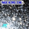 NGC  6205   236