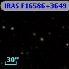 IRAS F16586+3649