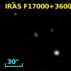 IRAS F17000+3600
