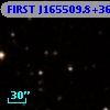 FIRST J165509.8+361026