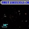 FIRST J165533.1+363031