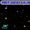 FIRST J165613.4+363515