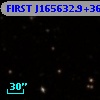 FIRST J165632.9+360204