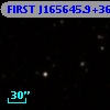 FIRST J165645.9+363106