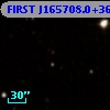 FIRST J165708.0+363609