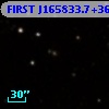 FIRST J165833.7+362221