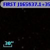 FIRST J165837.1+354125