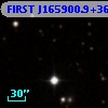 FIRST J165900.9+361102