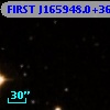 FIRST J165948.0+365923
