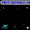 FIRST J165949.7+363214