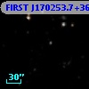 FIRST J170253.7+364512