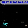 FIRST J170310.6+364630