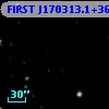 FIRST J170313.1+365044