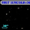 FIRST J170216.0+360319