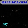 IRAS F17028+3616