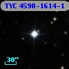 TYC 4590-1614-1