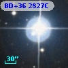 BD+36  2827C