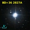 BD+36  2827A