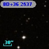 BD+36  2837