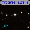 TYC 2603-1173-1