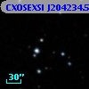 CXOSEXSI J204234.5+772105