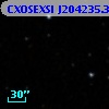 CXOSEXSI J204235.3+771909