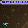 FIRST J171531.0+365317