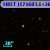 FIRST J171603.1+361312