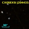 CXOSEXSI J204433.8+772049