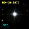 BD+36  2877