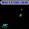 IRAS F17268+3648