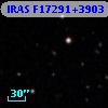 IRAS F17291+3903