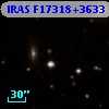 IRAS F17318+3633