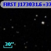 FIRST J173031.6+373825