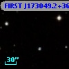 FIRST J173049.2+364038