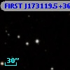 FIRST J173119.5+364257