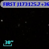 FIRST J173125.7+362425