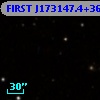 FIRST J173147.4+362441