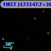 FIRST J173147.7+362436