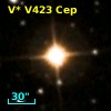 V* V423 Cep