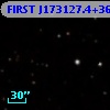 FIRST J173127.4+365611