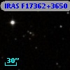 IRAS F17362+3650